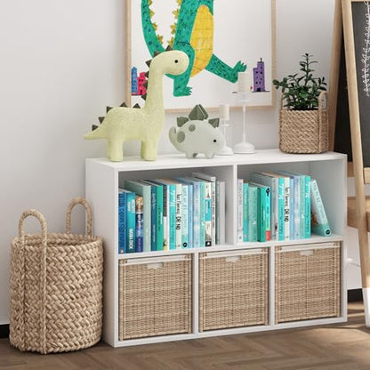 Wooden 5 Cube Storage Organizer with Closed Back Panel