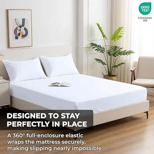 100% Organic Cotton 2 Pack Fitted Sheet (2 Count)