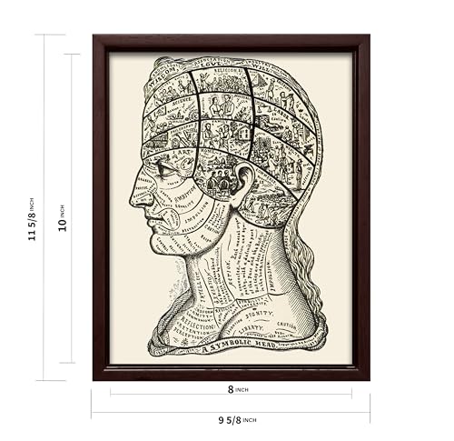 A Symbolic Head Phrenology Print 1899