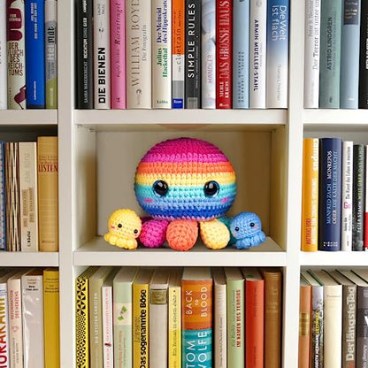 Crochet Kit for Beginners