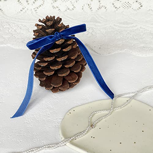 Vintage Sapphire Blue Velvet Ribbon (75 Foot)