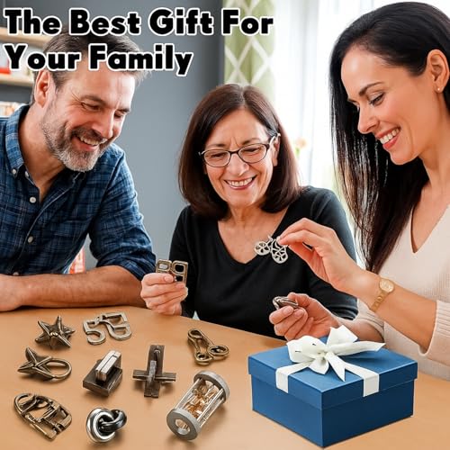 9 Pcs Metal Brain Teasers 3D Steel Puzzle Set (9 Count)