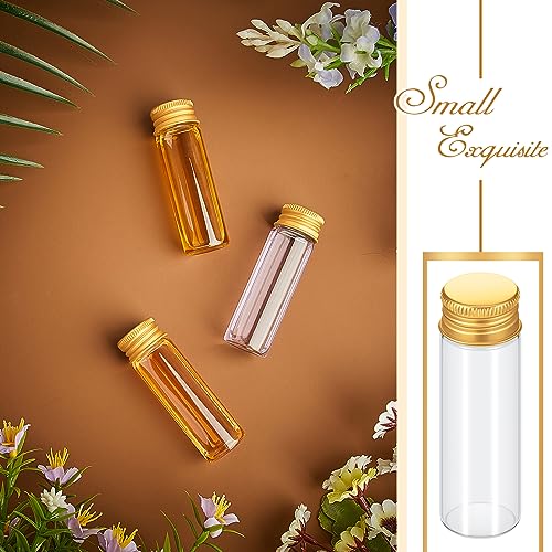 100 Pcs Small Clear Vials Spice Mini Jars with Lids Mini Glass Bottles with Screw Aluminum Metal Caps Tiny Jars Sample Containers for Powder Cream Cosmetic Jewelry Wedding (100 Count)
