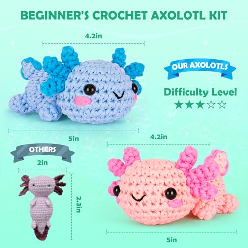 Crochet Kit for Beginners (2 Count)