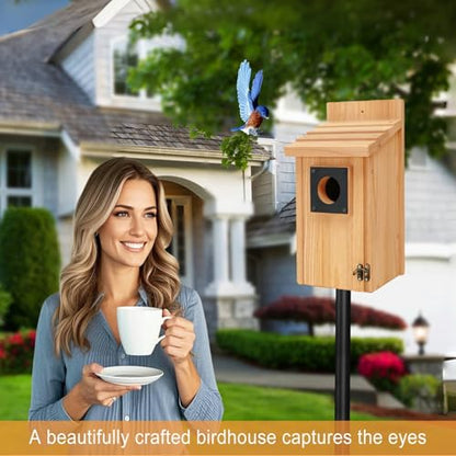 Wooden Bird Houses for Outside with Paint Set (4 Gram)