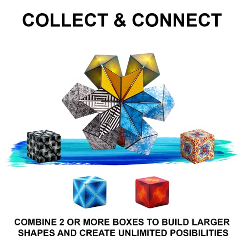 DODECA Magnetic Puzzle Cube