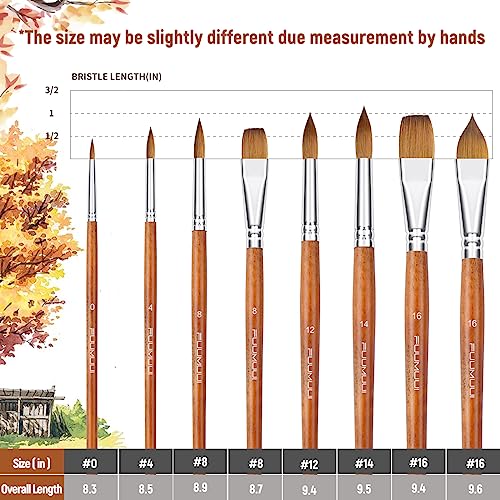 Sable Watercolor Brushes Professional