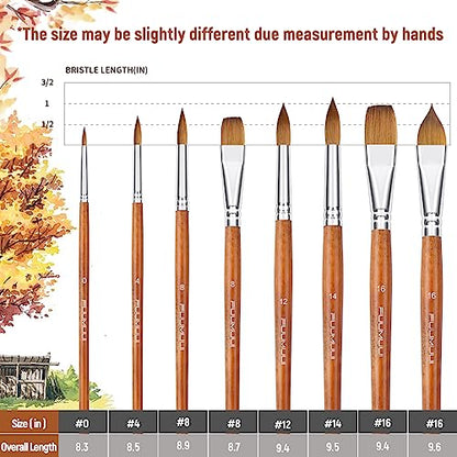 Sable Watercolor Brushes Professional