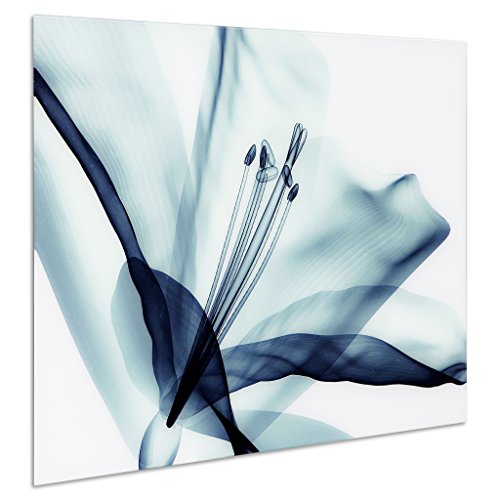 TMP-EAD4157-3248 Amaryllis Frameless Tempered Glass Blue Flower Panel Graphic Wall Art, 48" x 32" x 0.2"