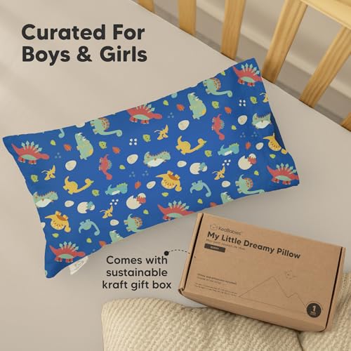 Toddler Pillow with Pillowcase