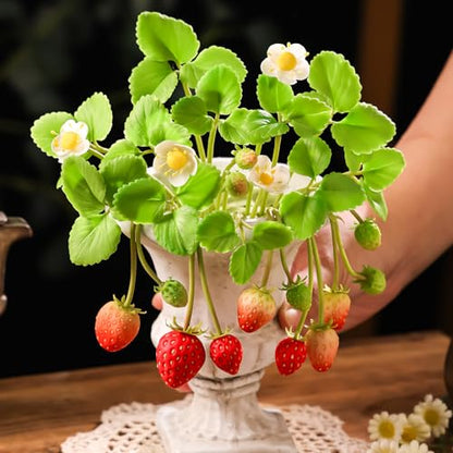 Professional Flower Fondant Mold Set