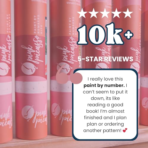 Paint by Number Kit