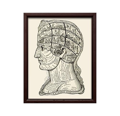 A Symbolic Head Phrenology Print 1899