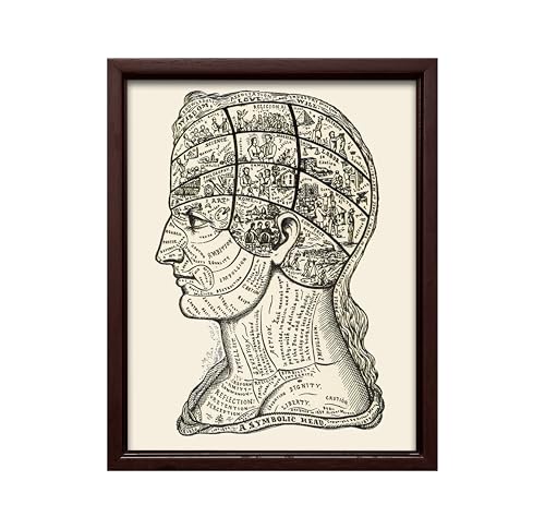 A Symbolic Head Phrenology Print 1899