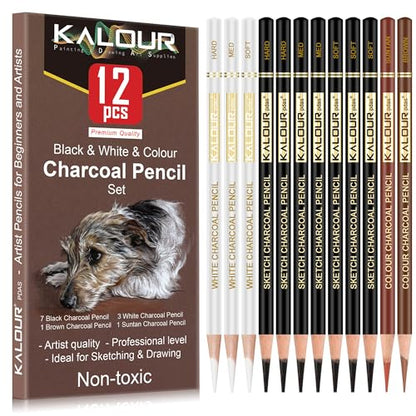 Pro Colored Charcoal Drawing Set (12 Count)