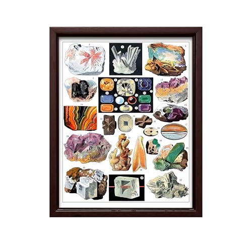 Vintage Geology Canvas
