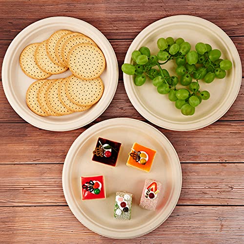 500 Pack Compostable Bagasse Paper Plates 10.25 inch (500 Count)