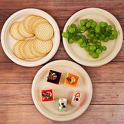 500 Pack Compostable Bagasse Paper Plates 10.25 inch (500 Count)