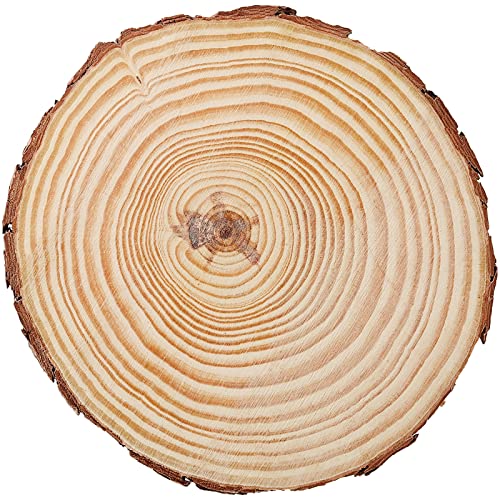 10 PCS 6.7 7 Inches Natural Unfinished Wood Slices (10 Count)