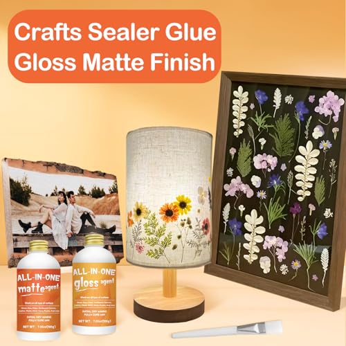 Crafts Sealer Gloss Matte Finish (13.5256 Fl Oz)