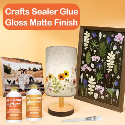 Crafts Sealer Gloss Matte Finish (13.5256 Fl Oz)