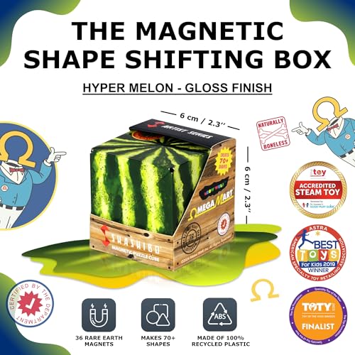 DODECA Magnetic Puzzle Cube