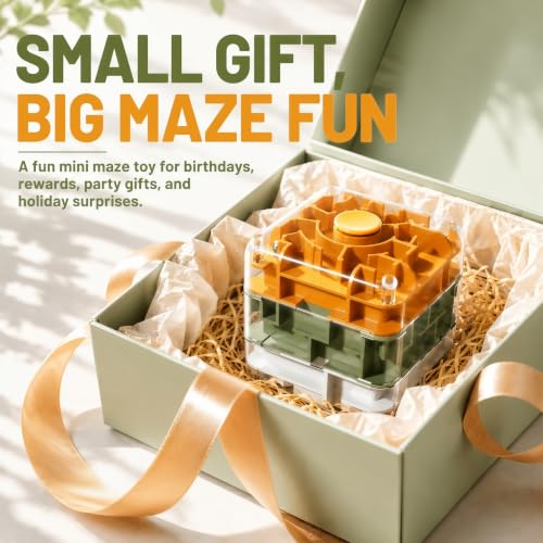 3 Layer 2 in 1 3D Rolling Ball Maze Cube