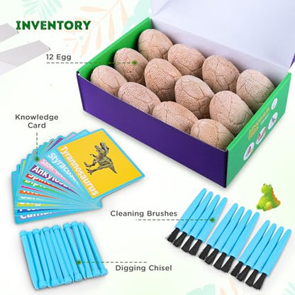 Dig Up Dinosaur Fossil Eggs