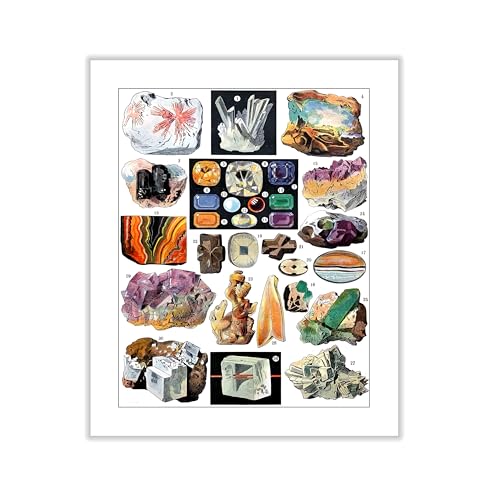 Vintage Geology Canvas