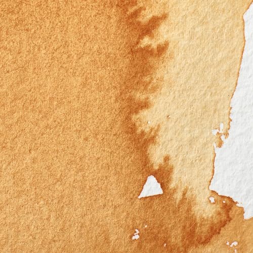 Professional Watercolor