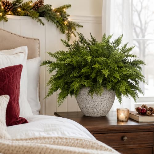 10 Pcs 17 Inches Christmas 2 Color Cypress Branches (10 Count)