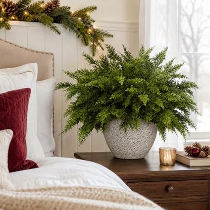10 Pcs 17 Inches Christmas 2 Color Cypress Branches (10 Count)