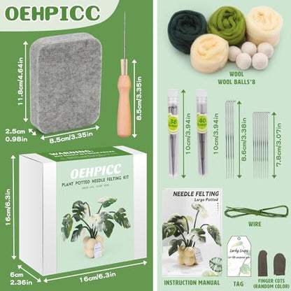 Needle Felting Kit for Beginners