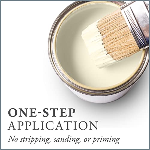 Chalk Based One Step Paint for Furniture (32 Fl Oz)