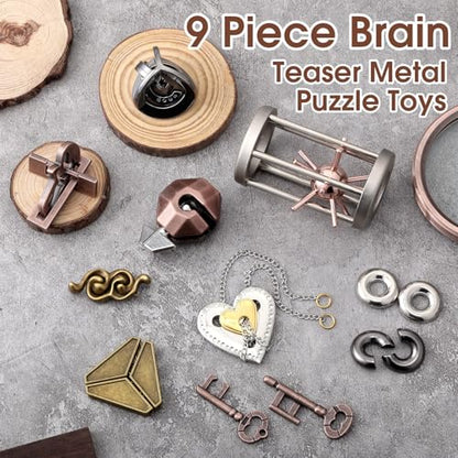 9 Pcs Metal Brain Teasers 3D Steel Puzzle Set (9 Count)
