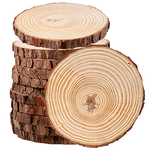 12 PCS 5.5 5.9 Inches Natural Wood Slices with Holes (12 Count)