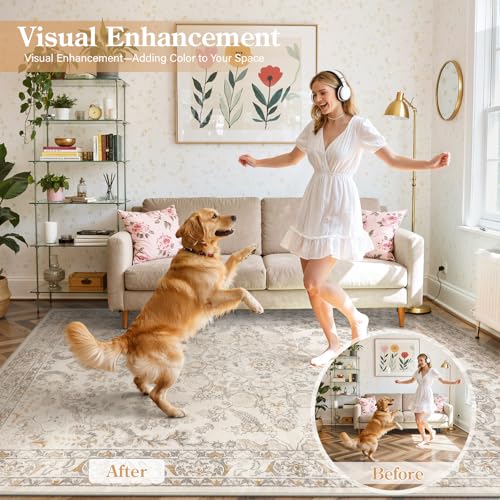 Washable Living Room Rugs (80 Sq Ft)