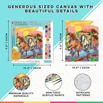 iHeartArt Paint by Numbers Kit