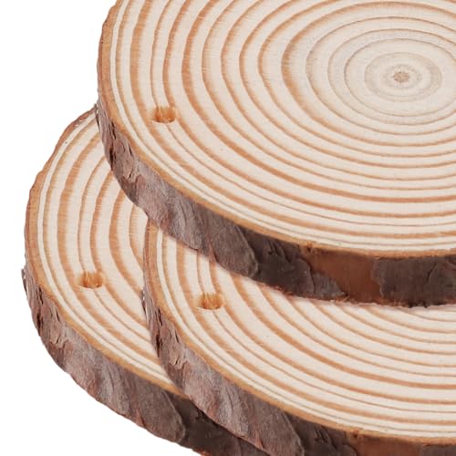60 Pieces Wood Slices with Hole (60 Count)