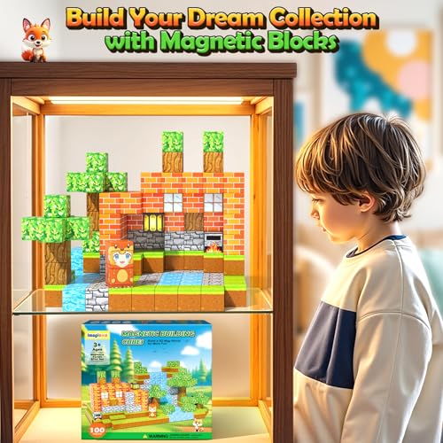 100PCS Magnetic Blocks