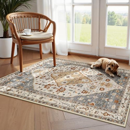 Felice 3x5 Rugs for Entryway