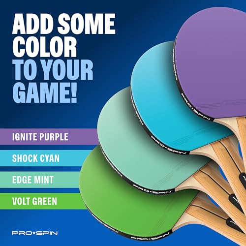 Portable Ping Pong Set with Retractable Ping Pong Net for Any Table (4 Count)