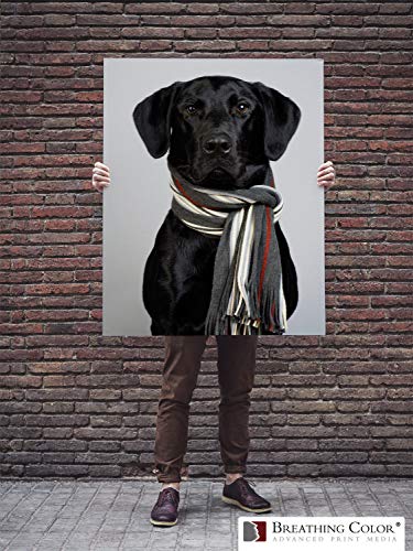 Premium Lyve Matte Canvas Paper Perfect For Use on Professional Makes and Models of Epson