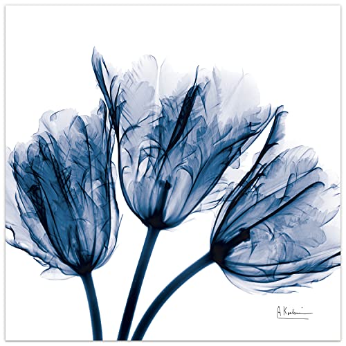 TMP-AK011A-2424 Blue Tulip X-Ray Flower Wall Art on Frameless Free Floating Tempered Glass Panel Ready to Hang, Living Room, Bedroom ＆ Office, 24" x 24" x 0.2"