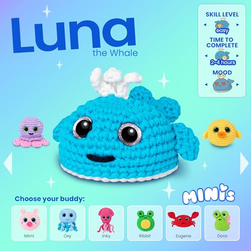 Crochet Kit for Beginners