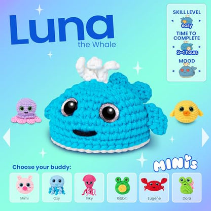 Crochet Kit for Beginners