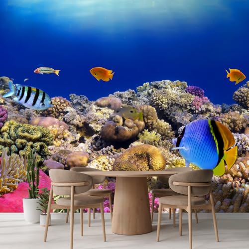 Removable Wall Sticker