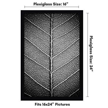 16x24 Poster Frame