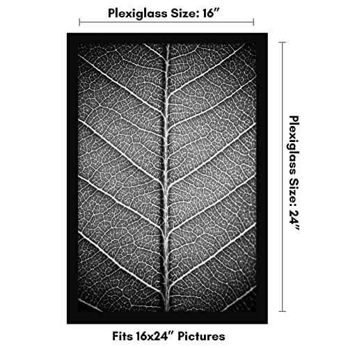 16x24 Poster Frame
