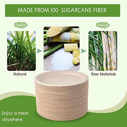 500 Pack Compostable Bagasse Paper Plates 10.25 inch (500 Count)